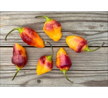 Bolivian Bumpy Orange