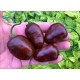 Chocolate Rocoto X PS
