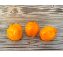 Rocoto Jenipapo Orange