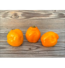 Rocoto Jenipapo Orange