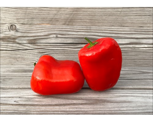 Rocoto Red Giant