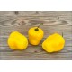Rocoto Gilge Yellow