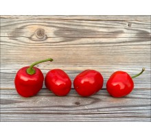 Rocoto Timber Red Cherry