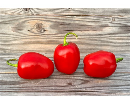 Rocoto Wolfshof