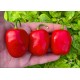 Rocoto Wolfshof