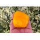 Rocoto De La Paz Amarillo