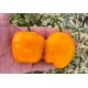Rocoto Los Cerrillos Laranja