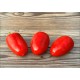 Rocoto Palpasch
