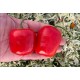 Rocoto Gilge Red