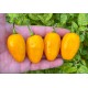 Rocoto Roppen Yellow