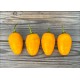 Rocoto Roppen Yellow