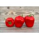 Rocoto Samland