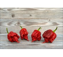 Carolina Reaper Cernobyl