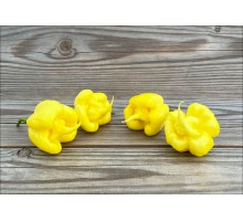 Carolina Reaper Lemon