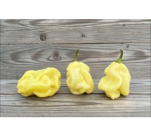Carolina Monster White
