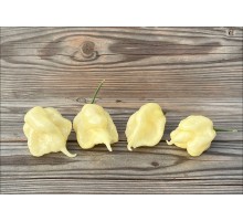 Carolina Reaper White
