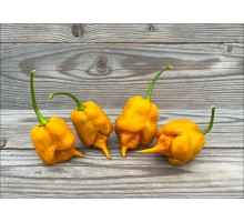 Bahamian Beast Mustard