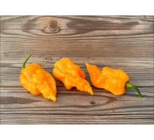 Naga Orange