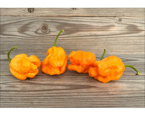 Happola Orange