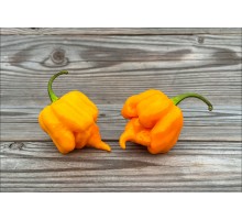 Puffy Orange