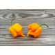 Puffy Orange