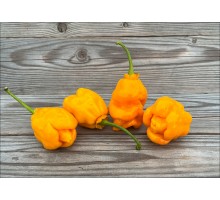 Bleeding Moruga Yellow