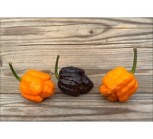 Maklena Orange
