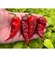 Fox Dark Ghost Gnarly Ruby