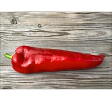 Marconi Red