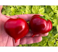 Little Heart