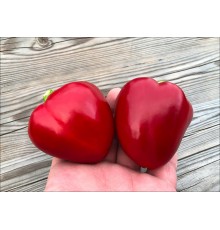 Dolce Petalo