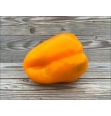 Orange Sun