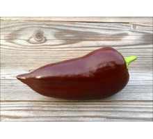 Lipstick Chocolate