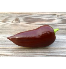 Lipstick Chocolate