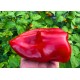 Nocera Rosso