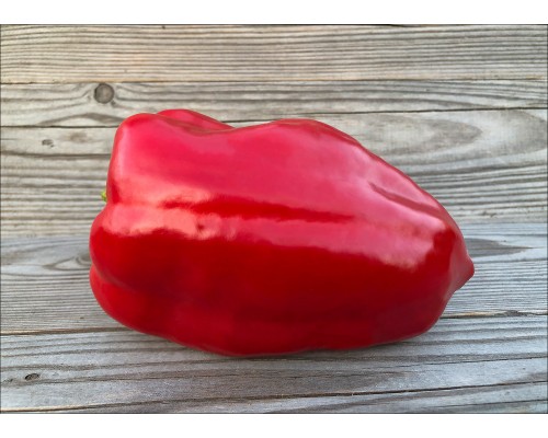 Nocera Rosso