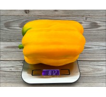 Mega Italy Yellow