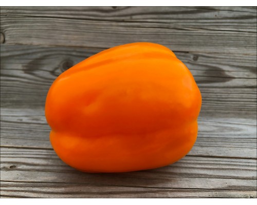 Orange Bull