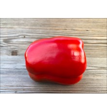 Bull Nose
