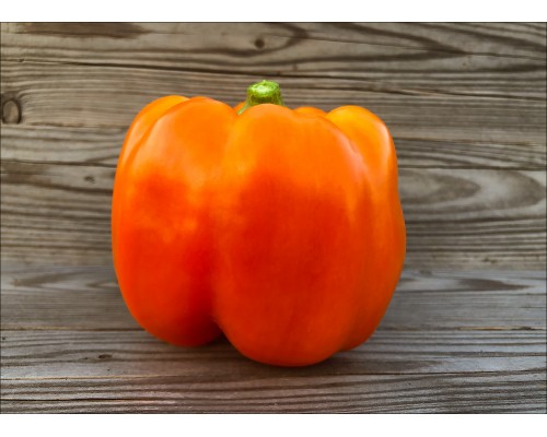 Orange King