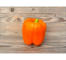 Orange Jujube