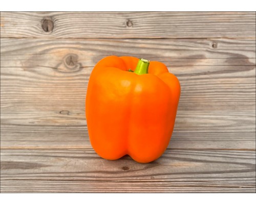 Orange Jujube