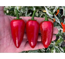 Jalapeno Valor