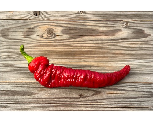 Dungan Pepper (Дунганский)