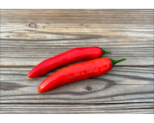 Serrano
