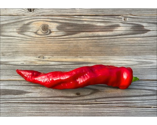 Big Bang Space Pepper