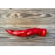Big Bang Space Pepper