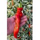 Big Bang Space Pepper
