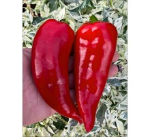 Portuguese Goat Heart