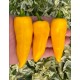 Rocket Plume Yellow